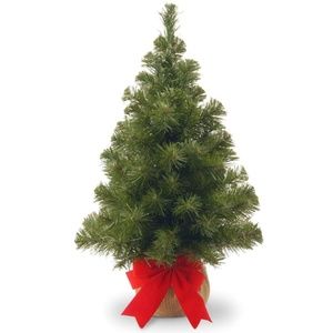 National Tree 2' Noble Spruce Tree with Burlap Bag